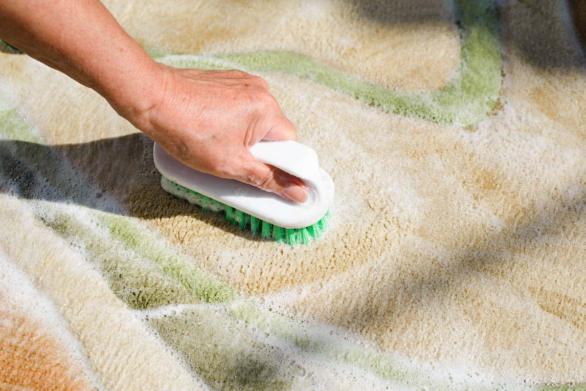 Restore Comfort with area rug cleaning hutto tx by Certified Technicians